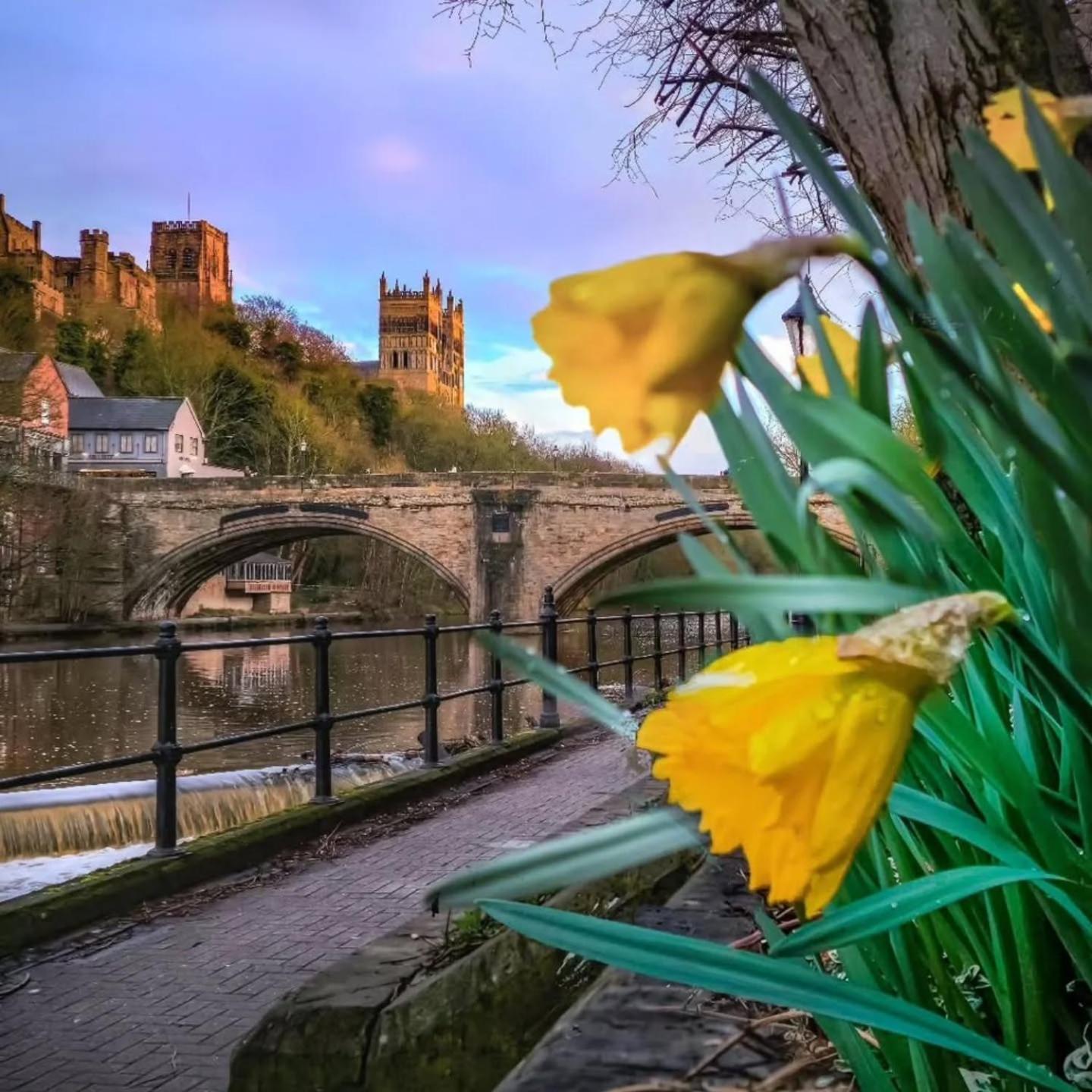 Durham Stays - The Mayor Exterior photo